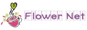  web name